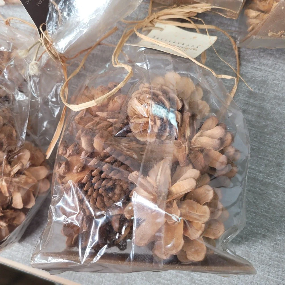 Pottery Barn Small Bleached Pinecones 5 Bags Decorative Bowl or Vase Filler NEW